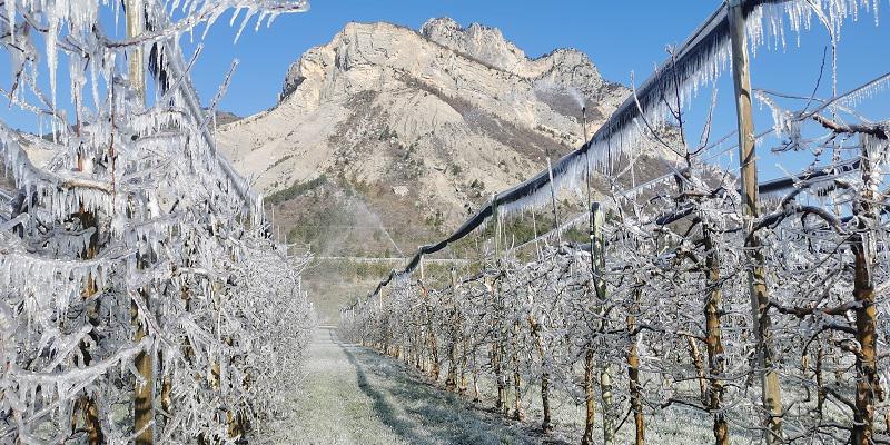 Le Printemps est là, la Lutte Antigel aussi! 3 Lutte antigel au pied du pic de Crigne