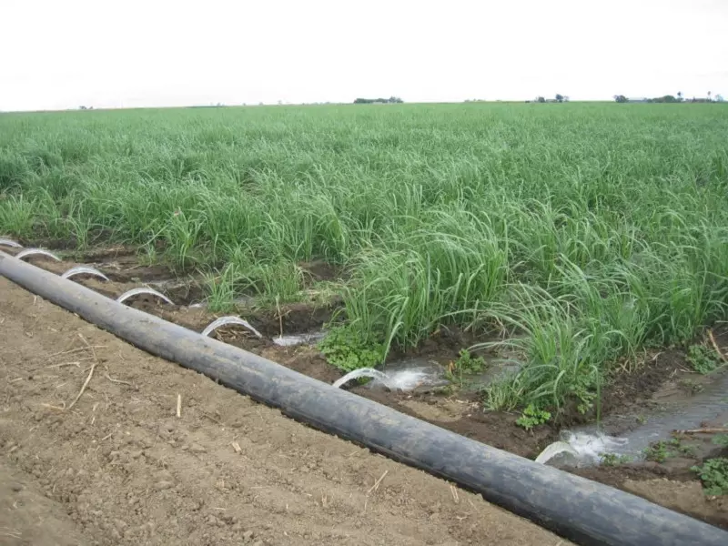 Arrosage Gravitaire 8 Irrigation à la raie - Transirrigation