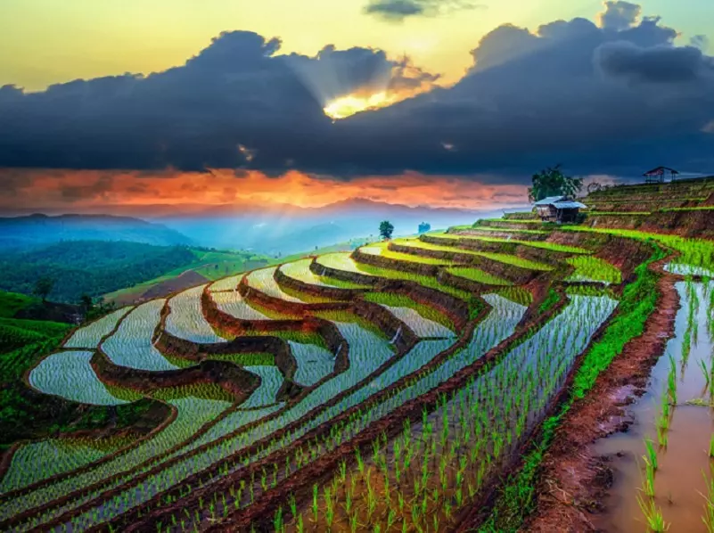 Arrosage Gravitaire 7 Irrigation en bassins- Rizières à Bali