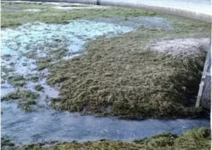 Actualités du site de l'ASA - octobre 2023 2 reservoir1
